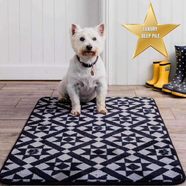 Stop Muddy Paws - Victorian Tile