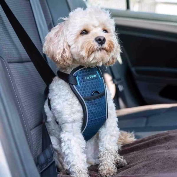 Crash Tested Dog Harness- Large