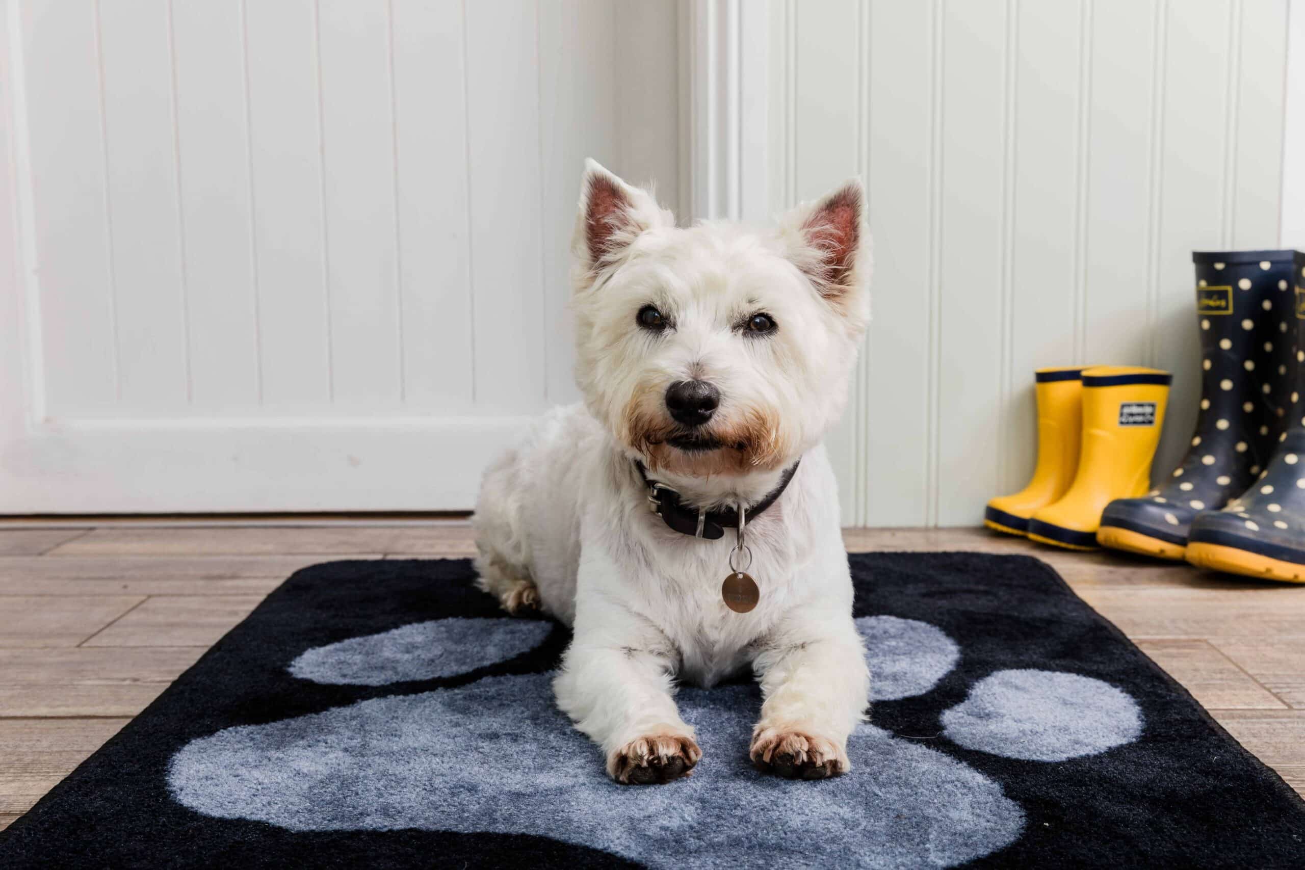 Stop Muddy Paws - Black - Image 6