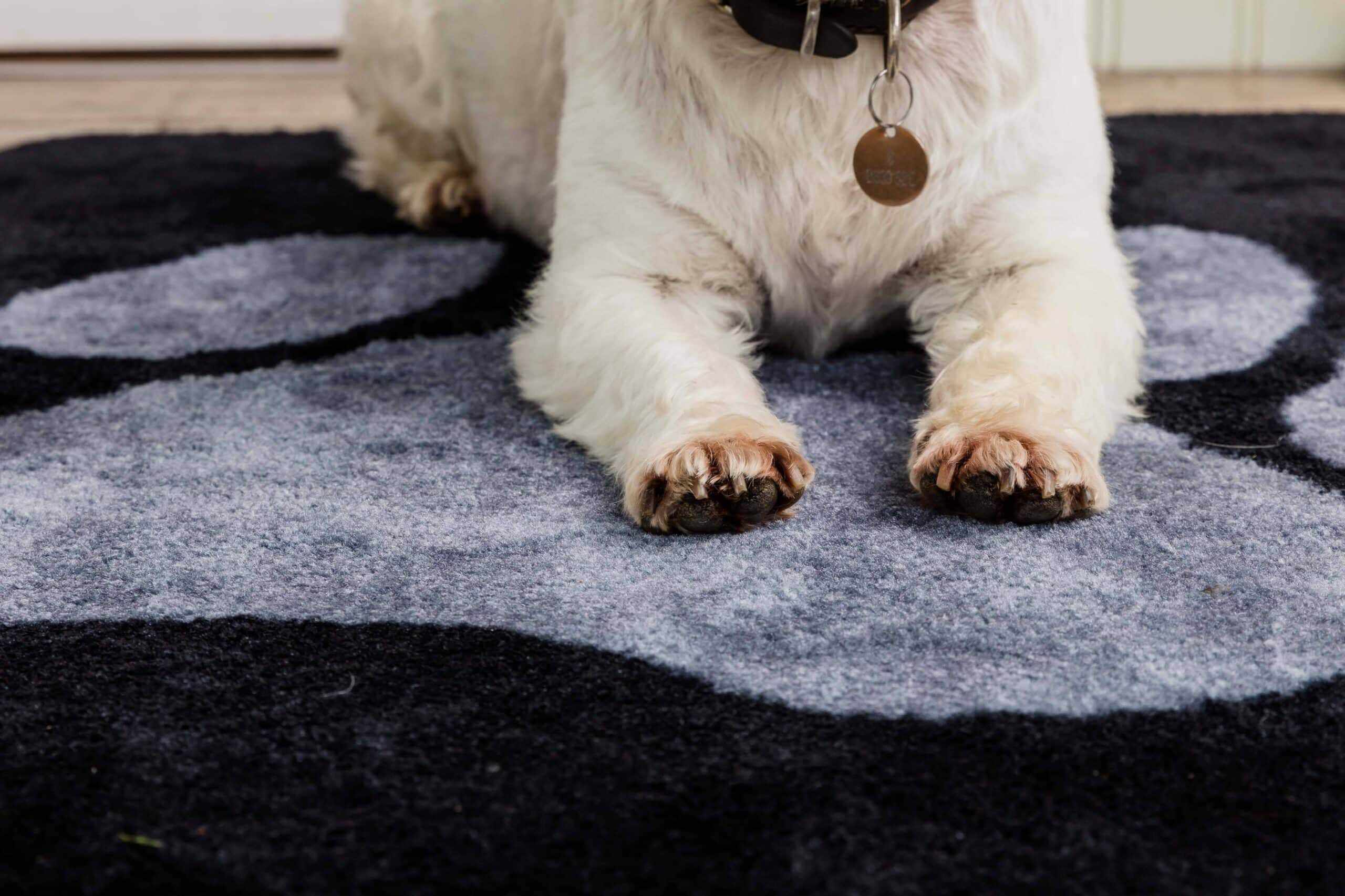 Stop Muddy Paws - Black - Image 8