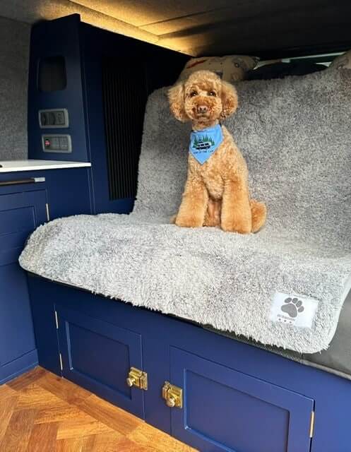 Car Seat Covers for Dog
