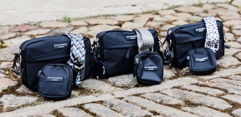 Outdoor Dog Accessories