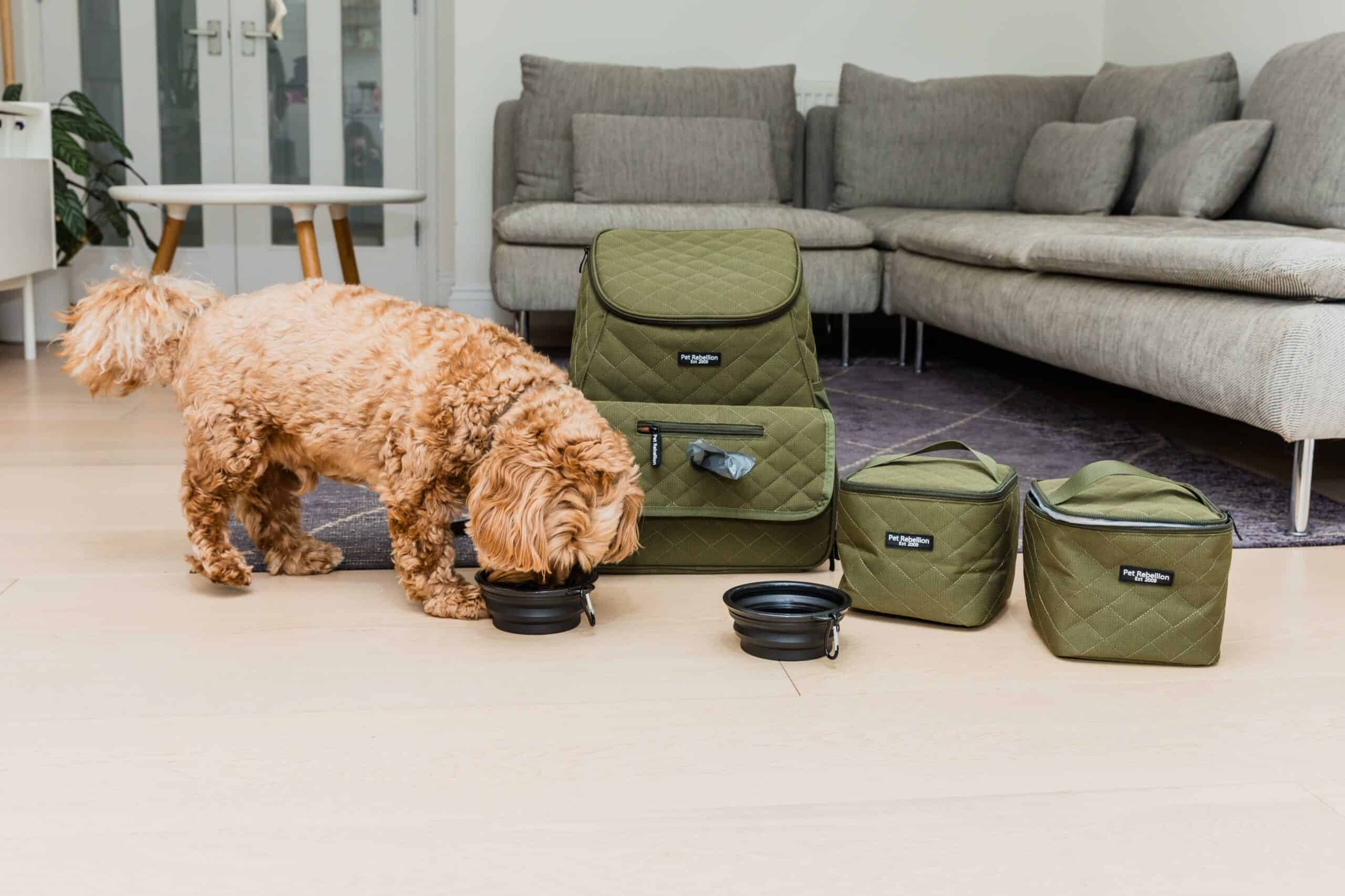 Pet Travel Bag / Backpack Set- Khaki - Image 11