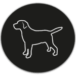 Product Icon
