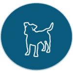 Product Icon