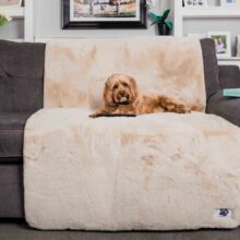 Sofa Protection