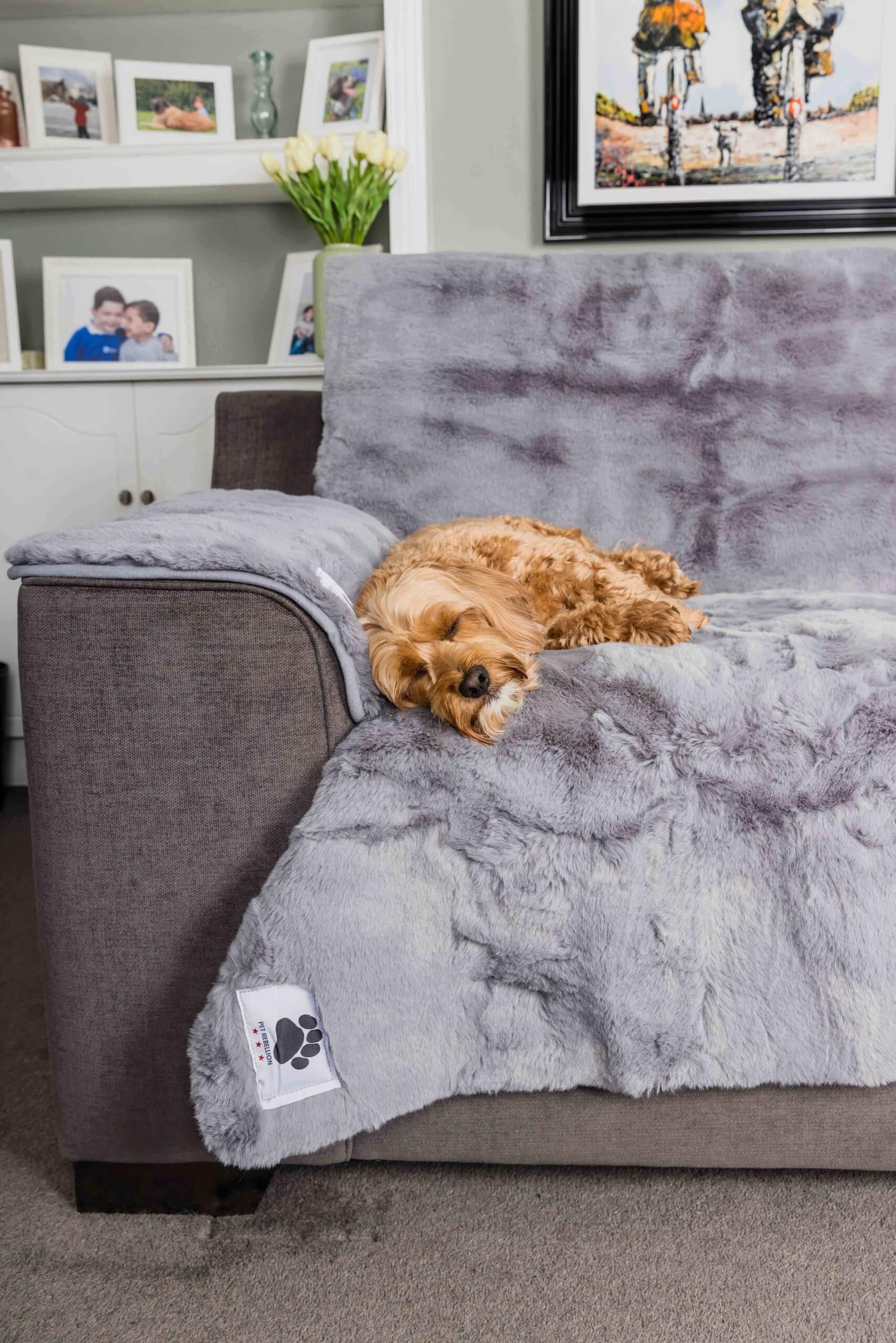 Comfy Cover Ultimate Sofa Bundle - Grey - Image 3