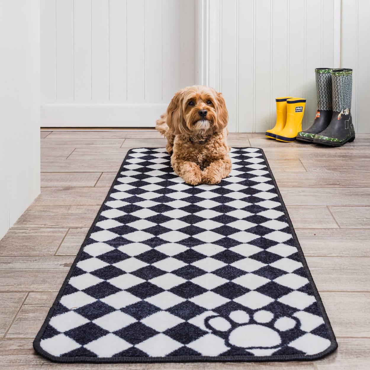 Dog Runner Check