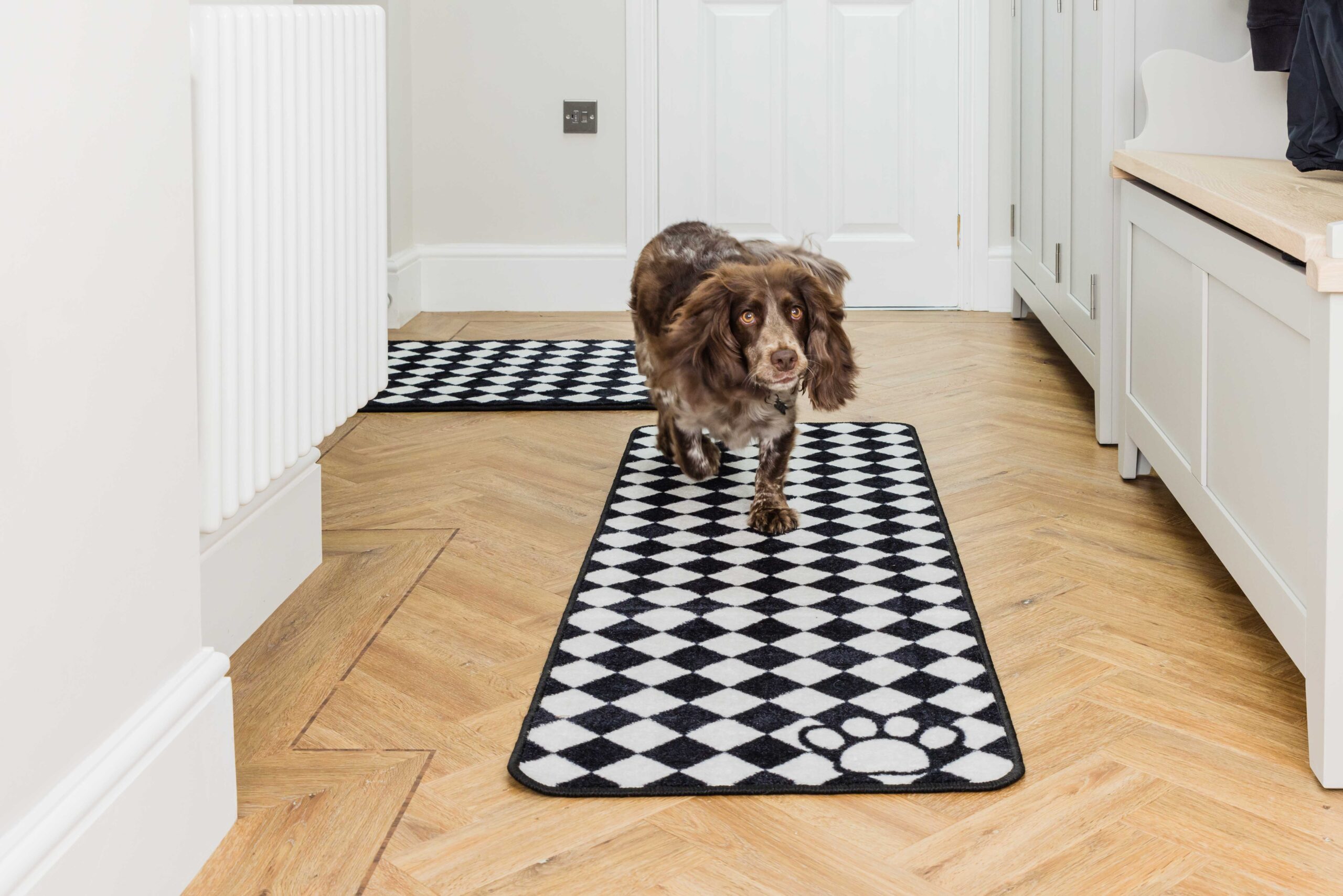 Dog Runner Check - Image 5