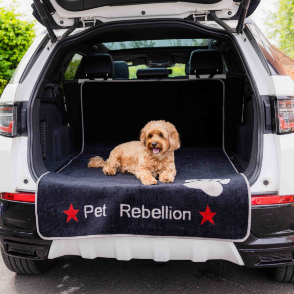 Car Boot Protector